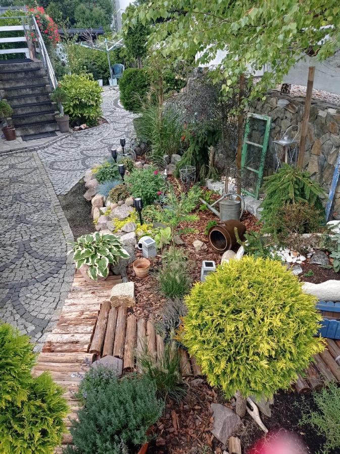 Pokoje Goscinne Cisowa Grünberg Exterior foto