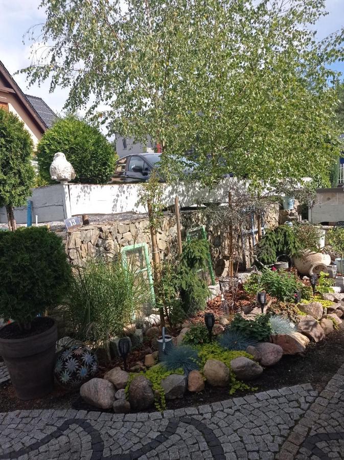 Pokoje Goscinne Cisowa Grünberg Exterior foto