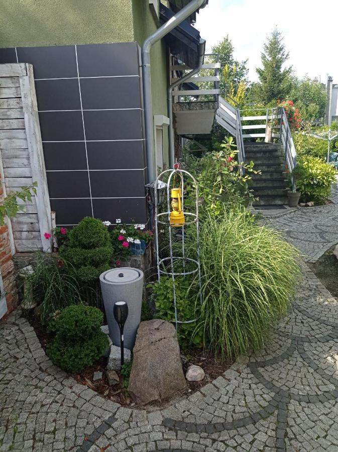 Pokoje Goscinne Cisowa Grünberg Exterior foto